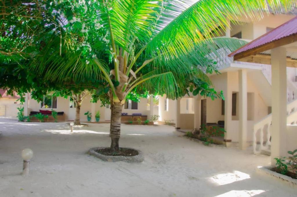 Summer Dream Lodge Paje Εξωτερικό φωτογραφία